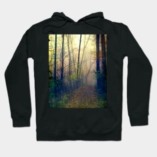 Wandering in a Foggy Woodland Hoodie